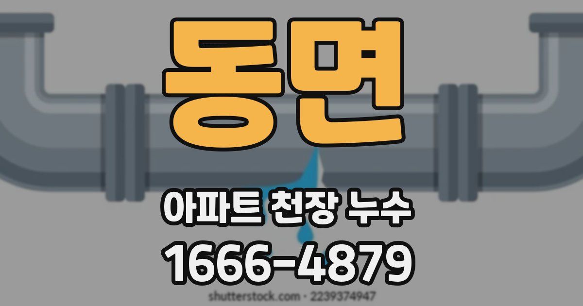 동면 아파트 천장 누수