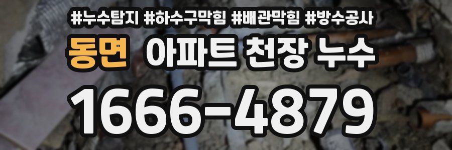 동면 아파트 천장 누수