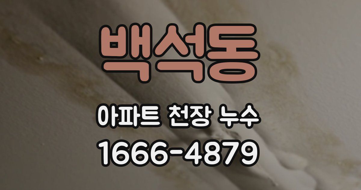 백석동 아파트 천장 누수