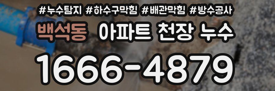 백석동 아파트 천장 누수