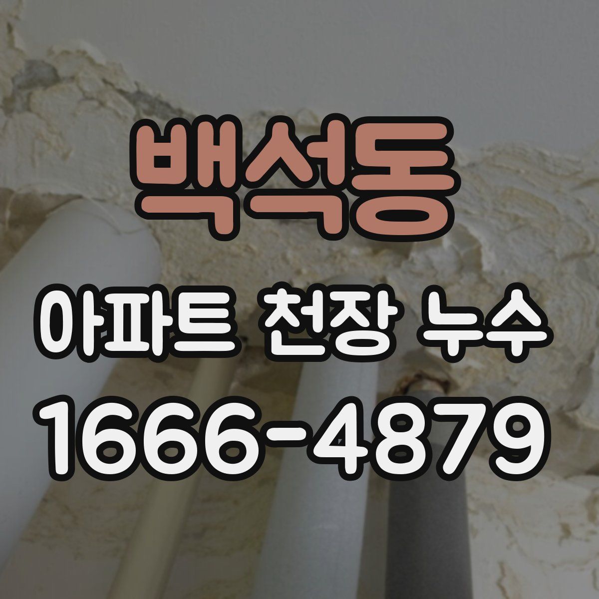 백석동 아파트 천장 누수