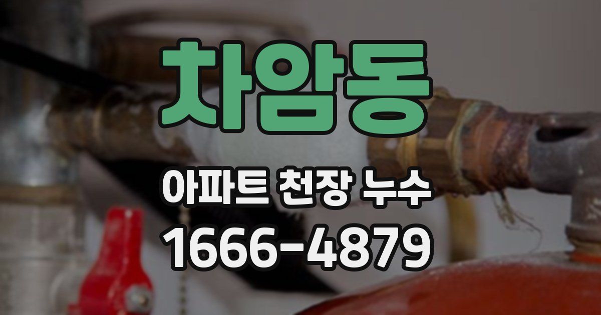 차암동 아파트 천장 누수