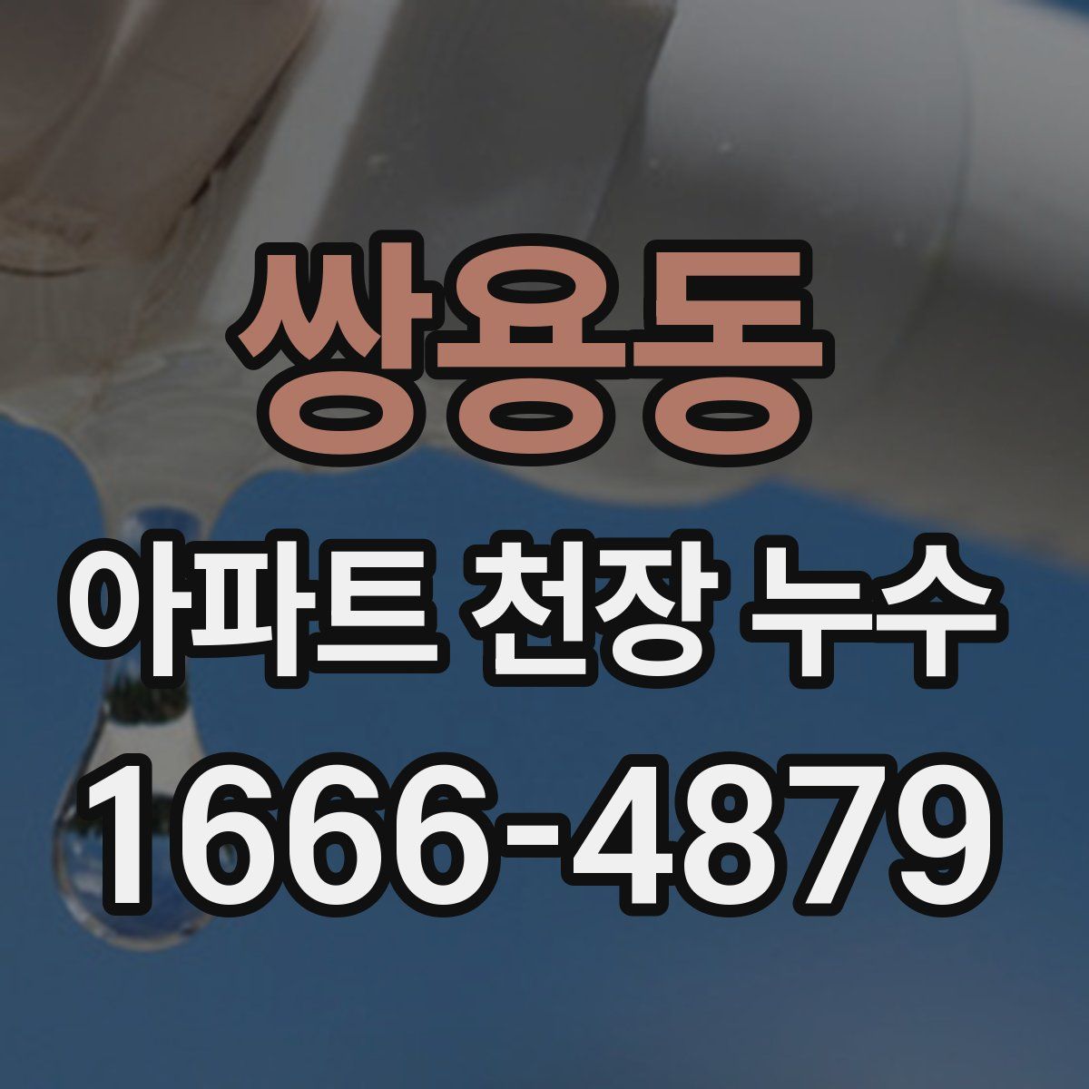 쌍용동 아파트 천장 누수
