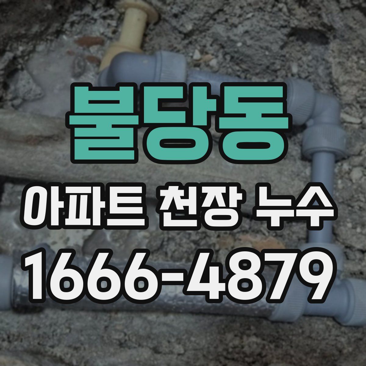 불당동 아파트 천장 누수