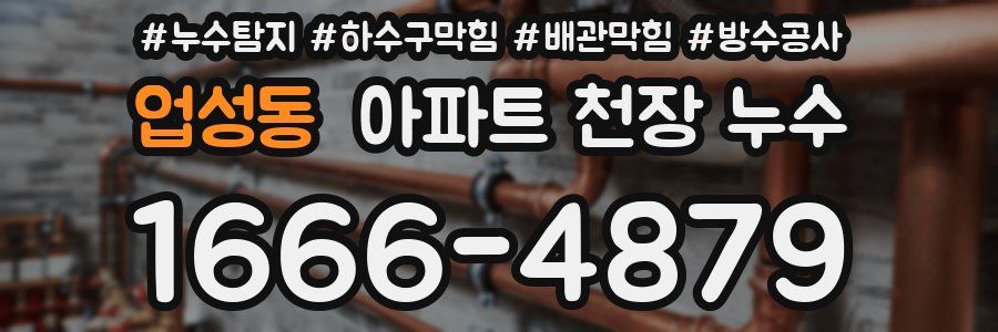 업성동 아파트 천장 누수
