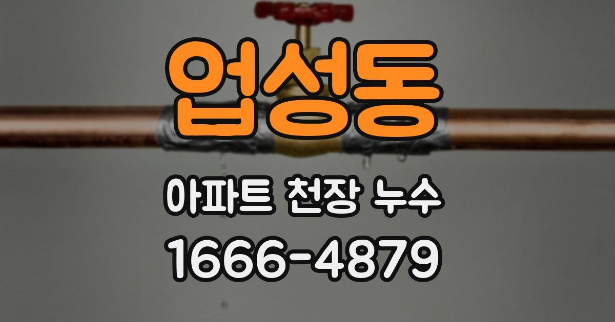 업성동 아파트 천장 누수