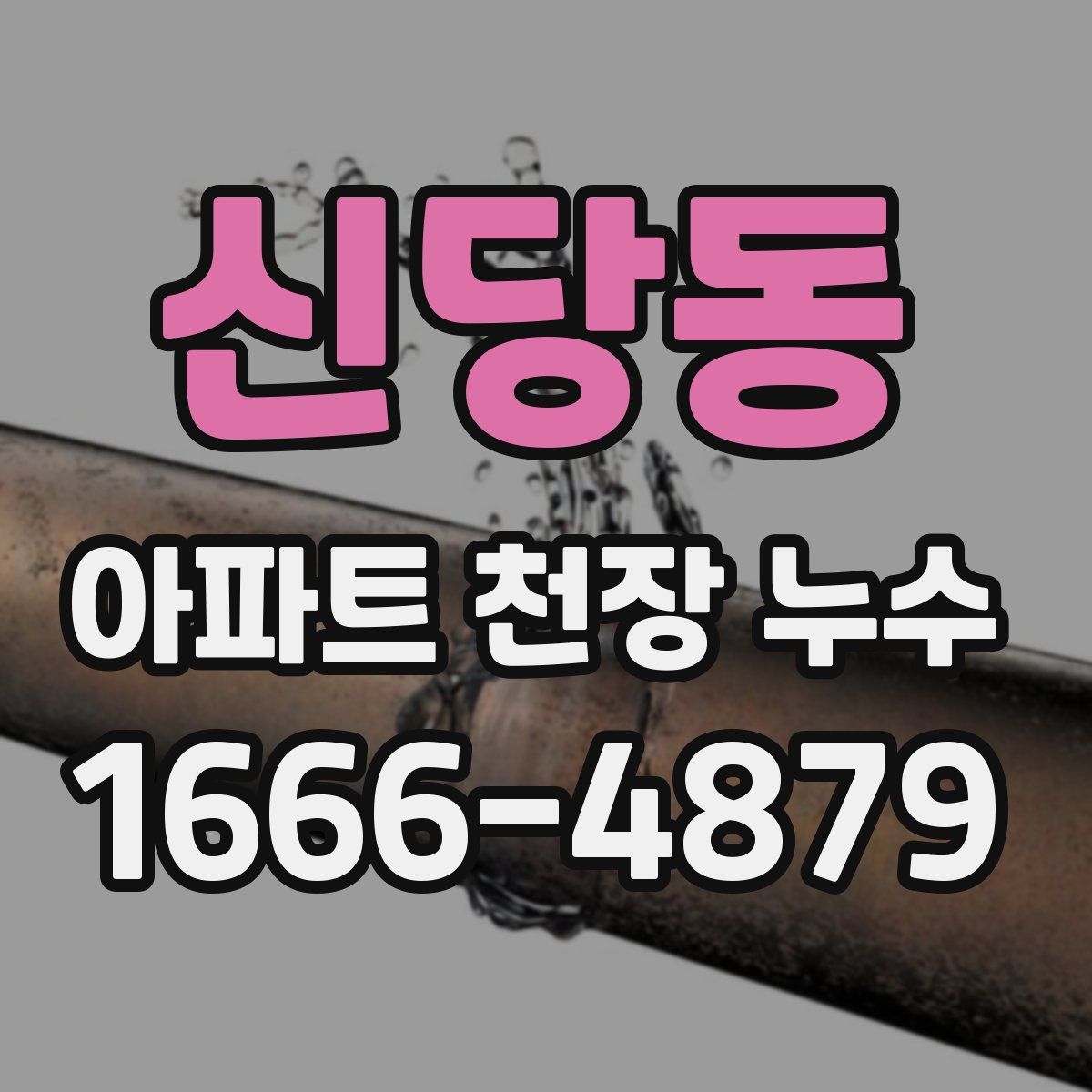 신당동 아파트 천장 누수