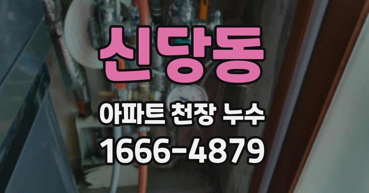 신당동 아파트 천장 누수