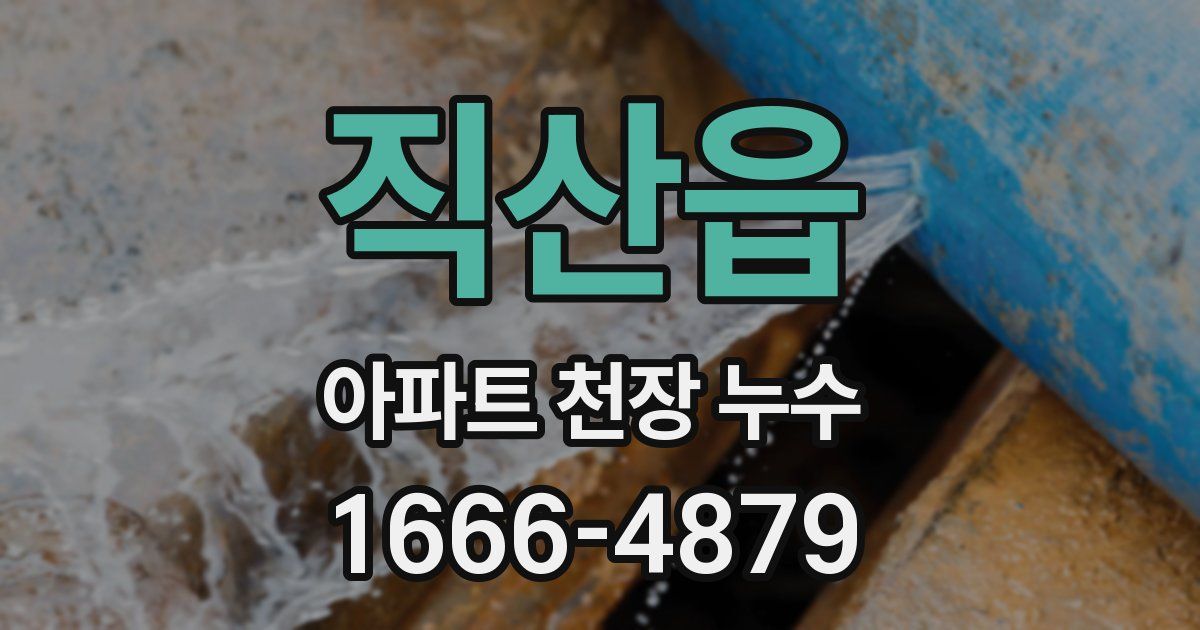 직산읍 아파트 천장 누수