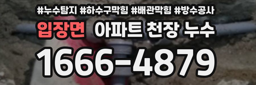 입장면 아파트 천장 누수