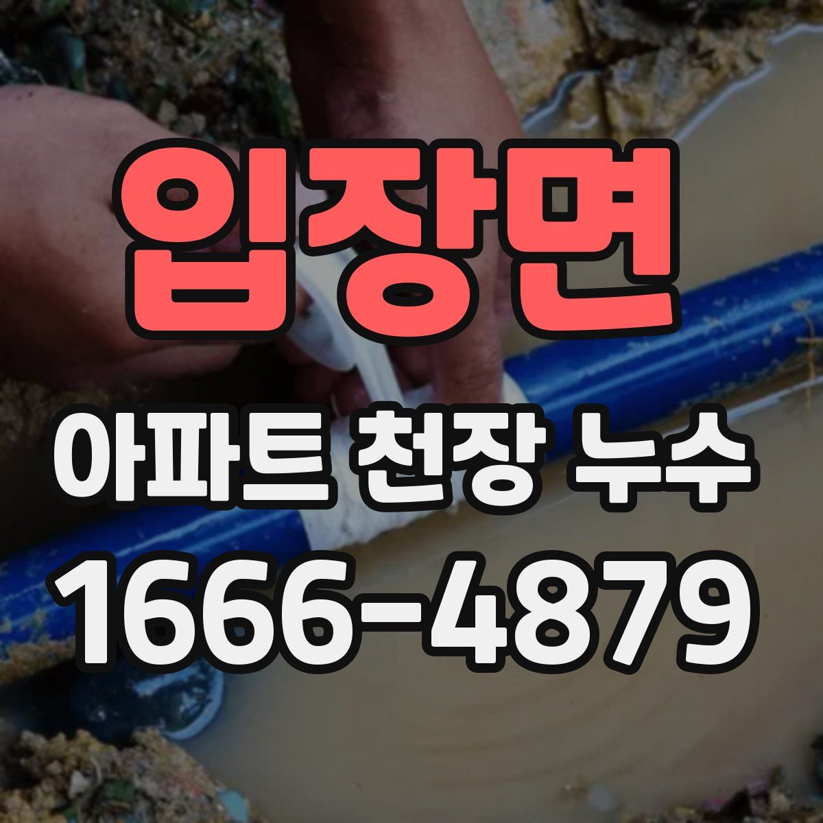 입장면 아파트 천장 누수