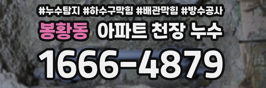 봉황동 아파트 천장 누수