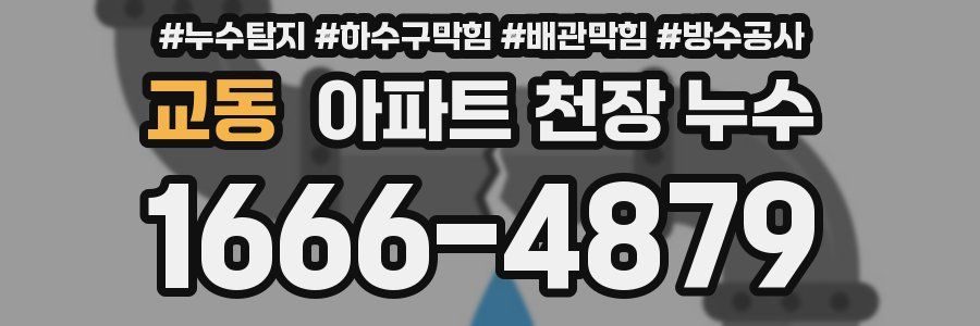 교동 아파트 천장 누수