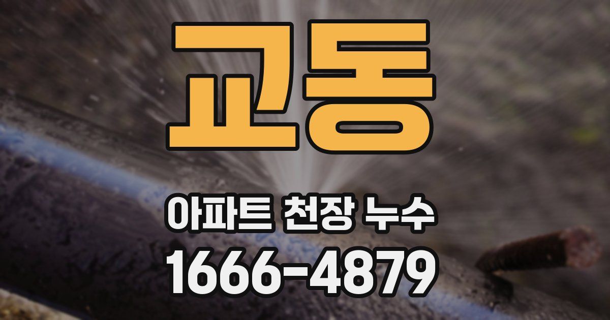 교동 아파트 천장 누수