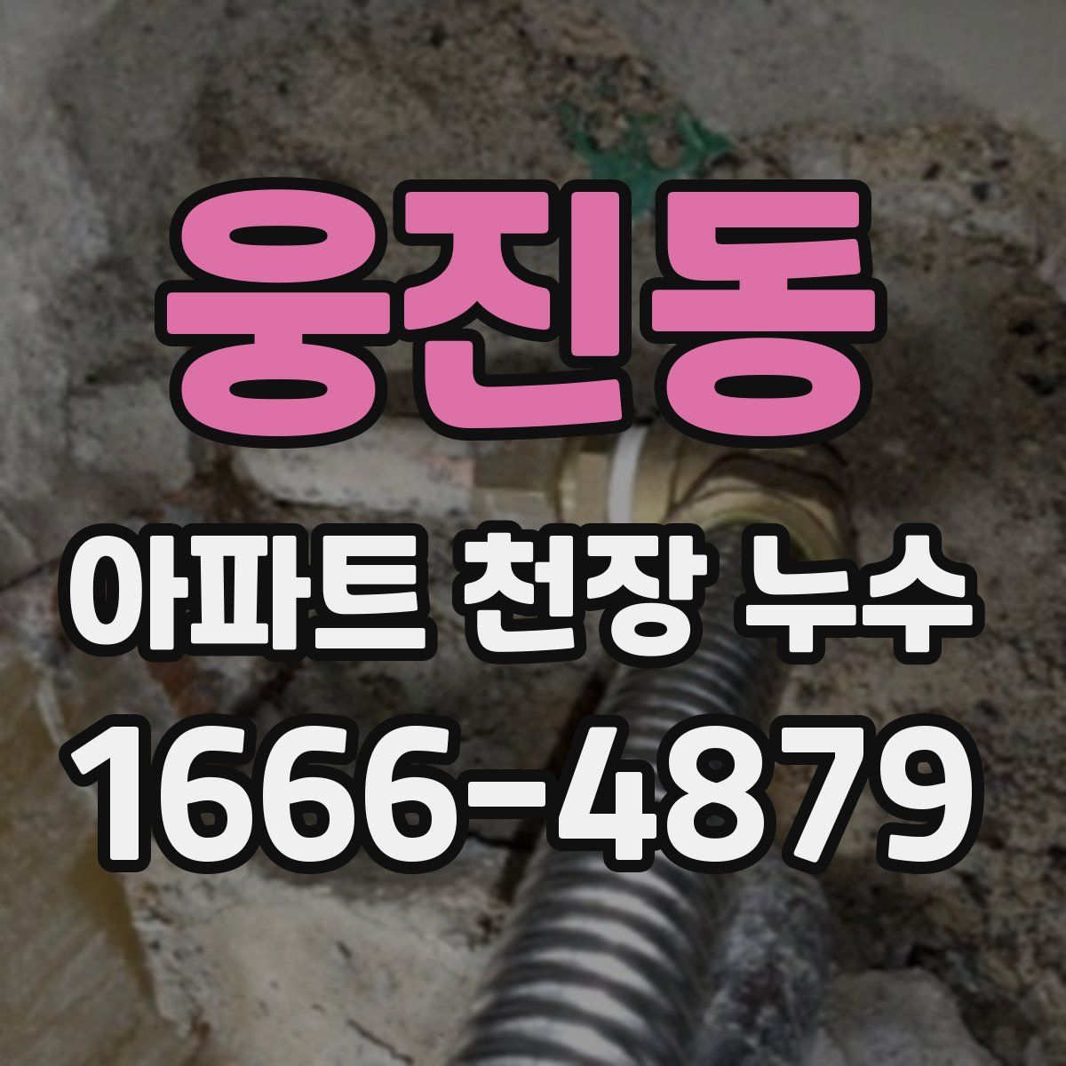 웅진동 아파트 천장 누수