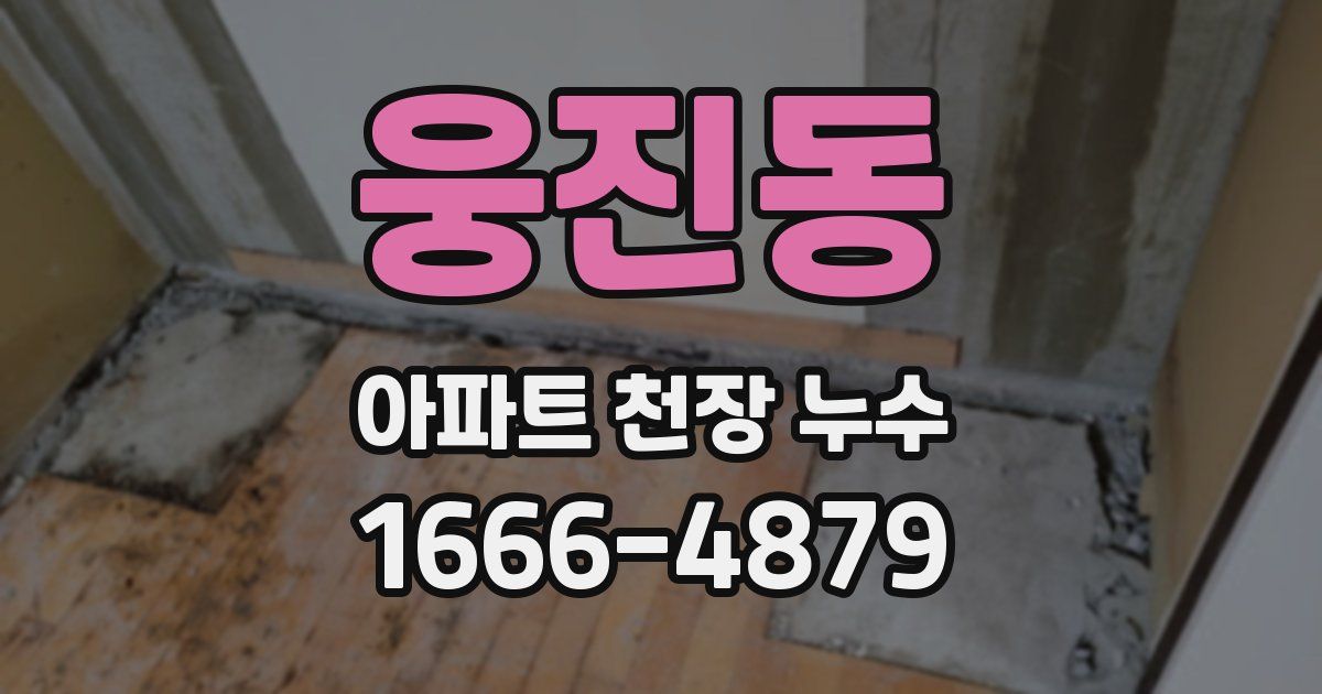 웅진동 아파트 천장 누수
