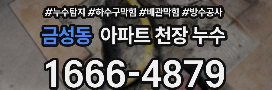 금성동 아파트 천장 누수