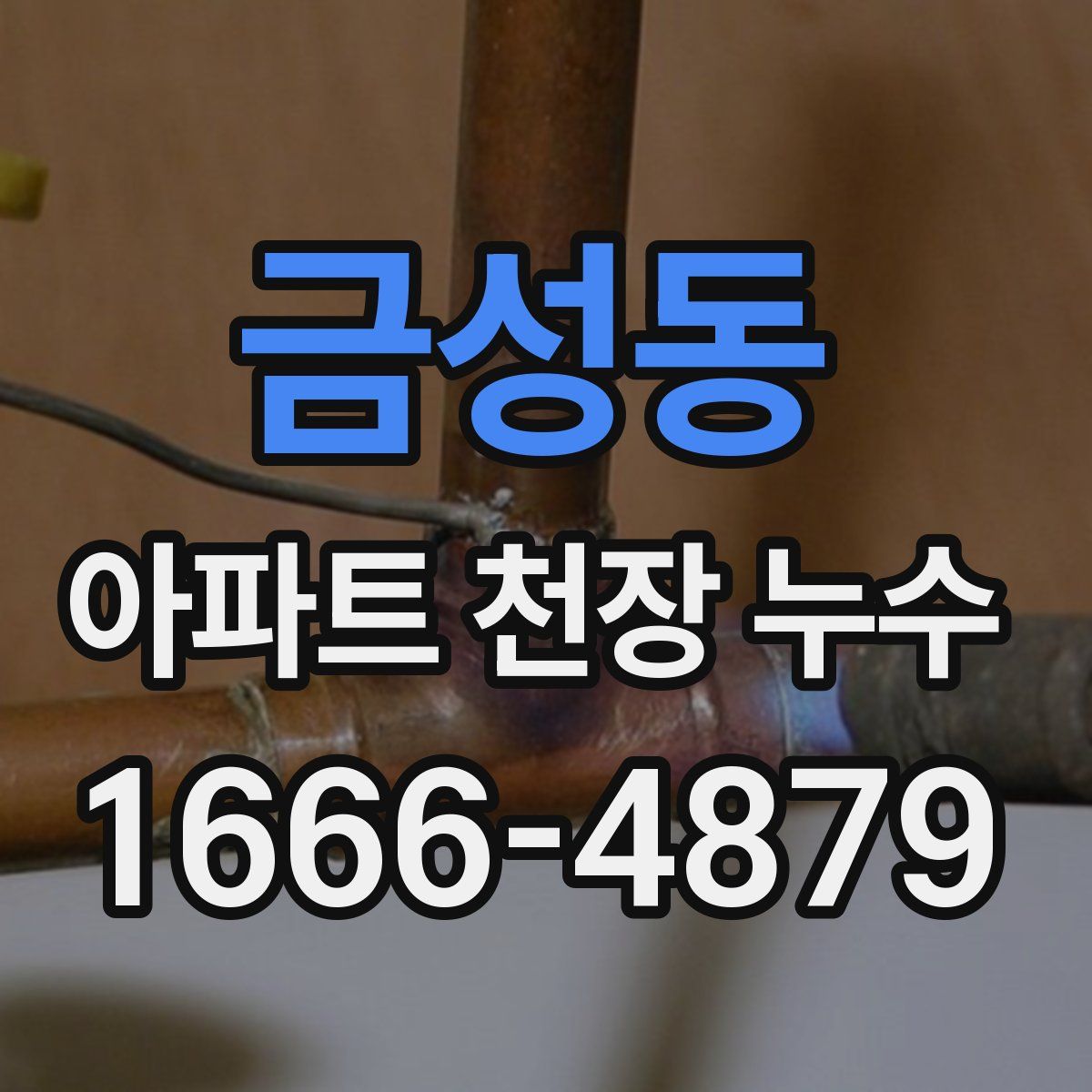 금성동 아파트 천장 누수