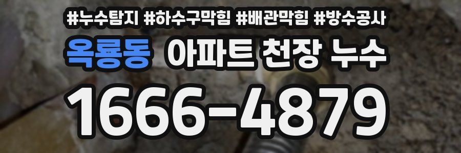옥룡동 아파트 천장 누수