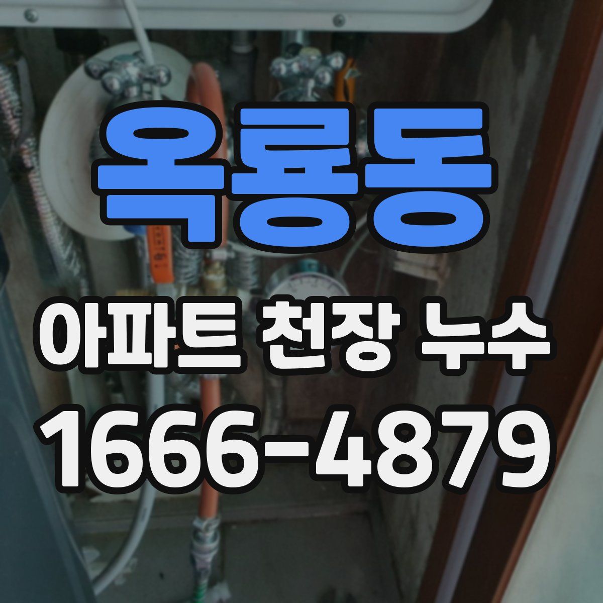 옥룡동 아파트 천장 누수