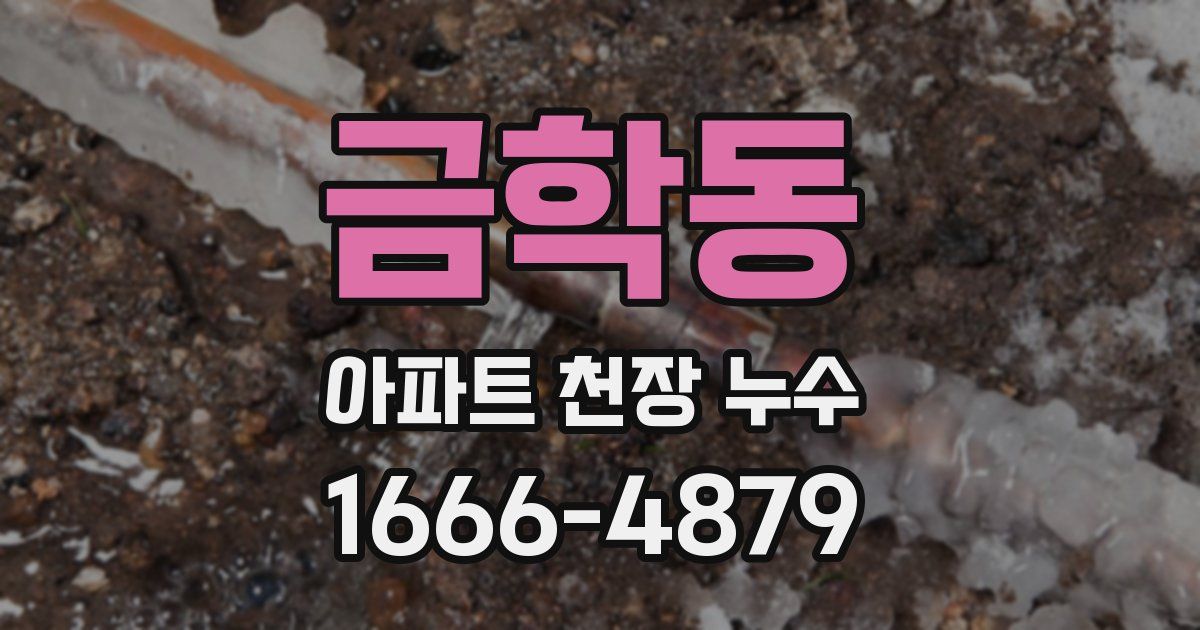 금학동 아파트 천장 누수