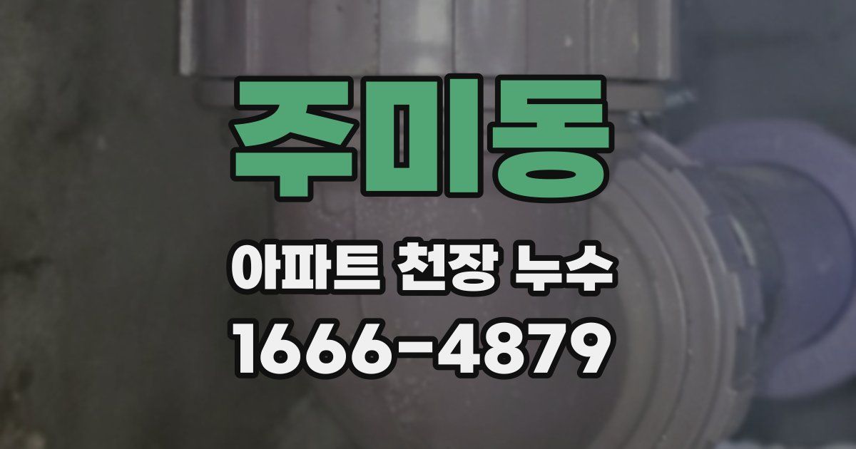 주미동 아파트 천장 누수