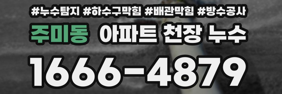 주미동 아파트 천장 누수
