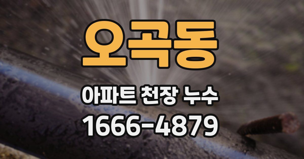 오곡동 아파트 천장 누수