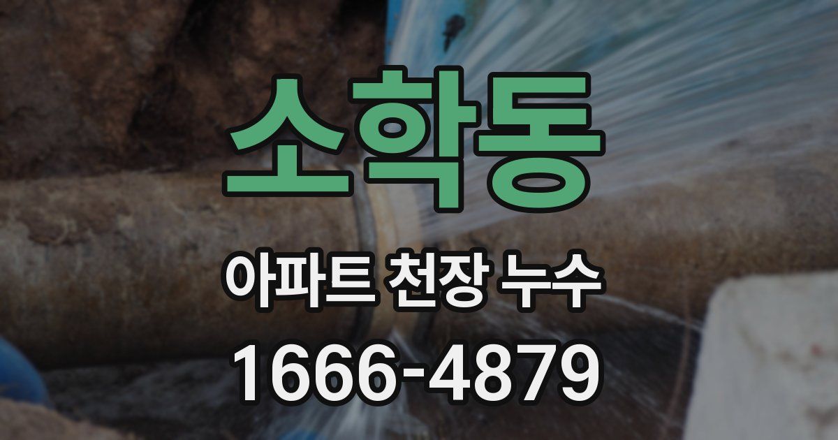 소학동 아파트 천장 누수