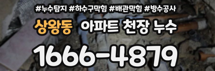 상왕동 아파트 천장 누수