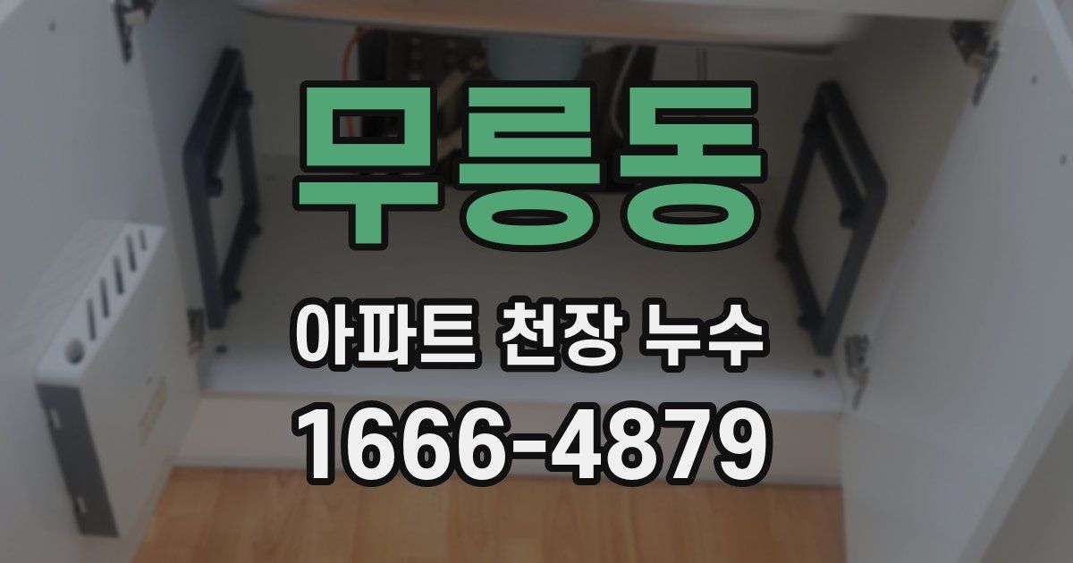 무릉동 아파트 천장 누수