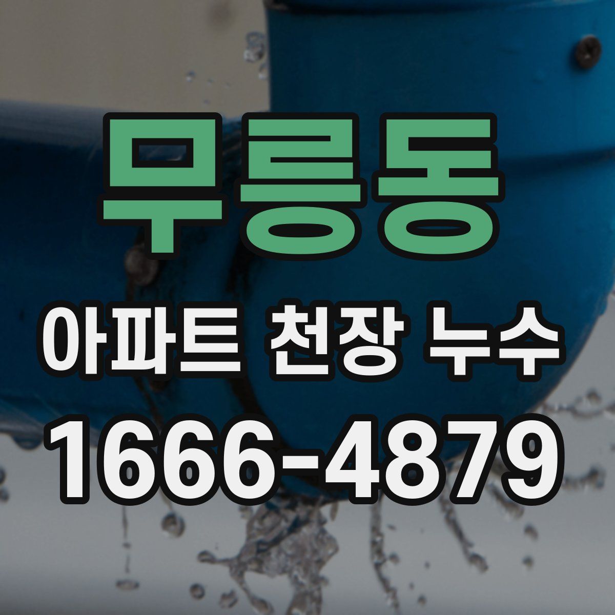 무릉동 아파트 천장 누수