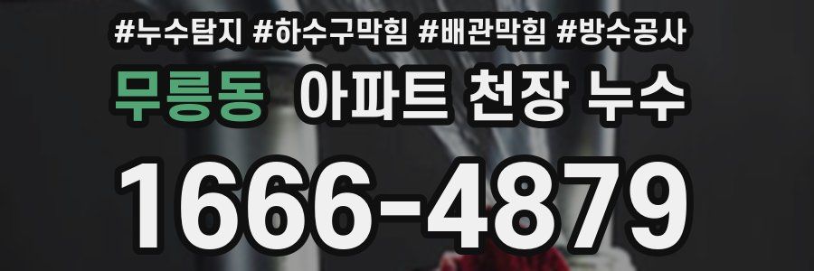 무릉동 아파트 천장 누수