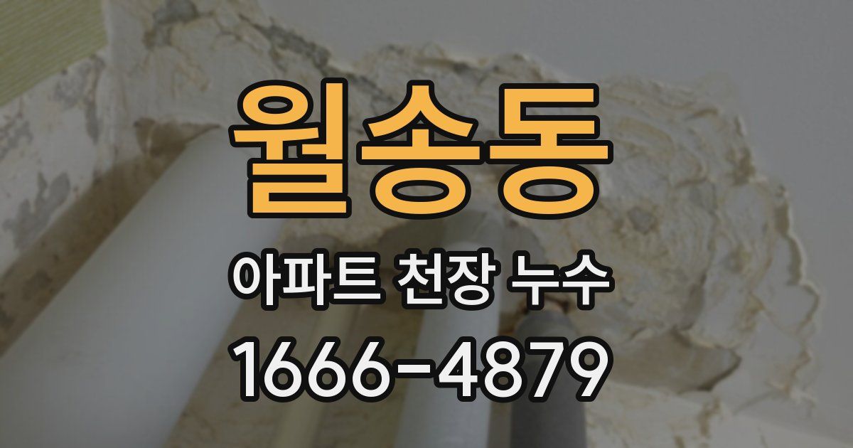 월송동 아파트 천장 누수