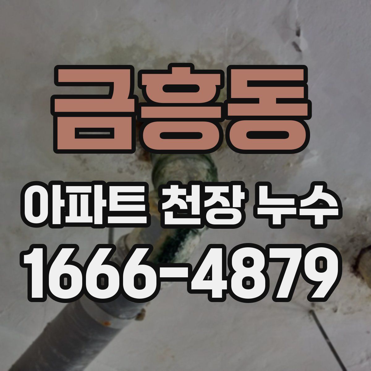 금흥동 아파트 천장 누수