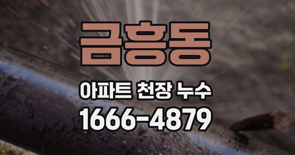 금흥동 아파트 천장 누수