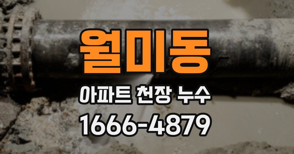 월미동 아파트 천장 누수