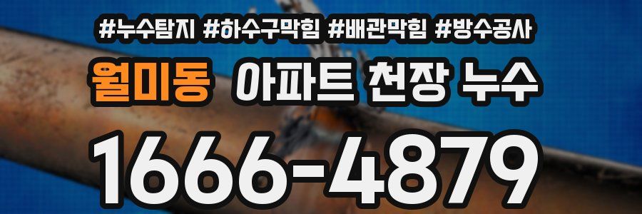 월미동 아파트 천장 누수