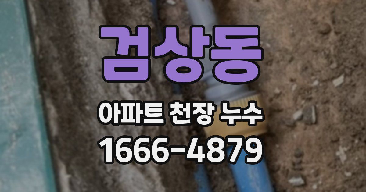 검상동 아파트 천장 누수