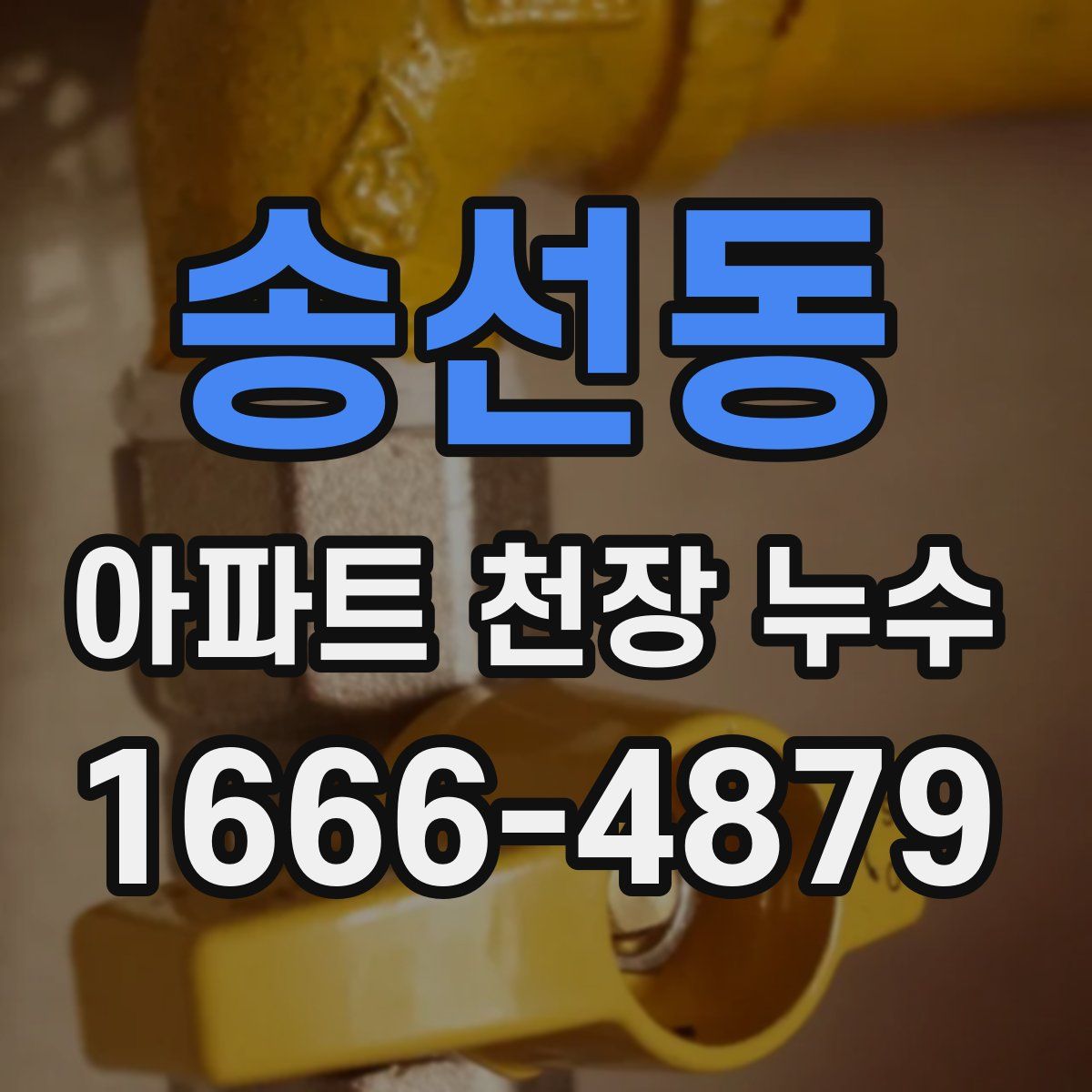 송선동 아파트 천장 누수