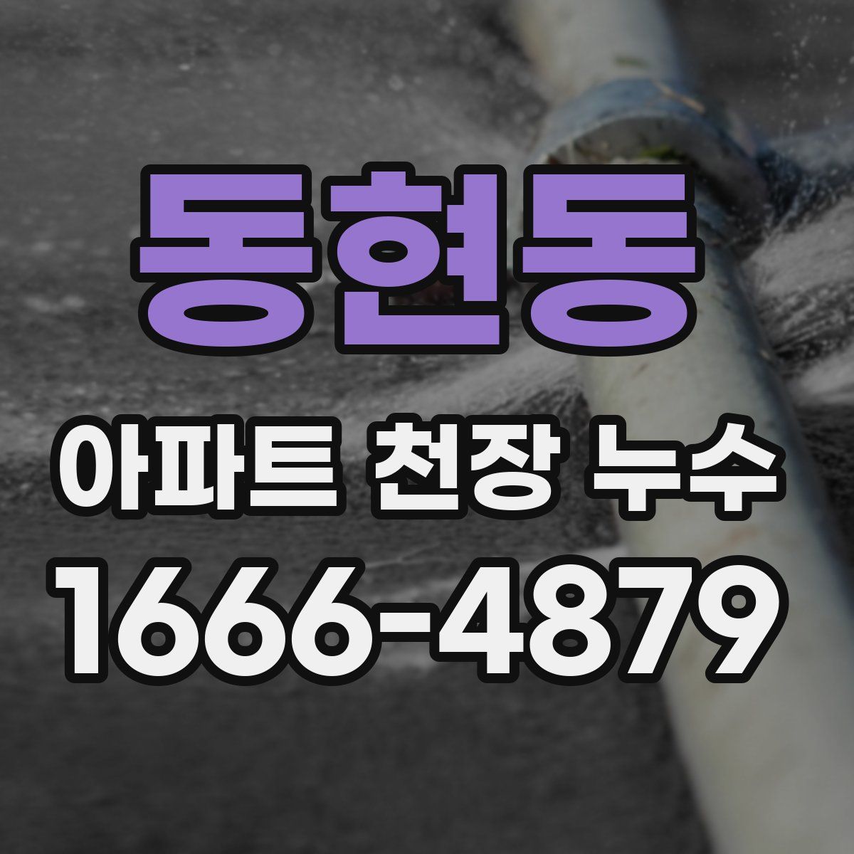동현동 아파트 천장 누수