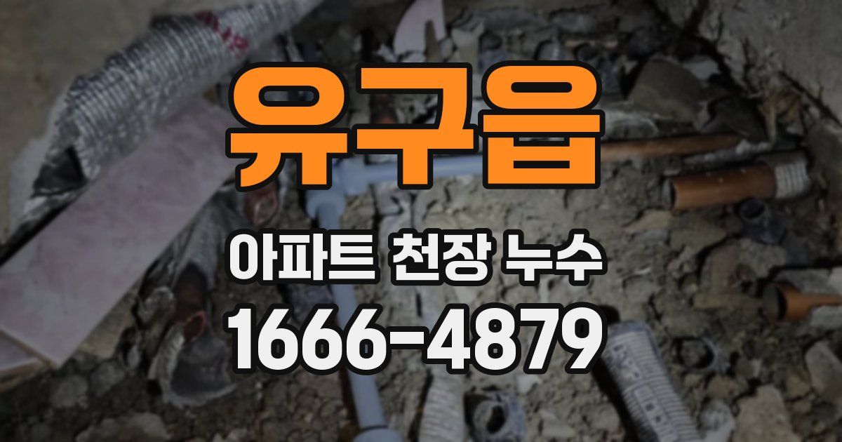 유구읍 아파트 천장 누수