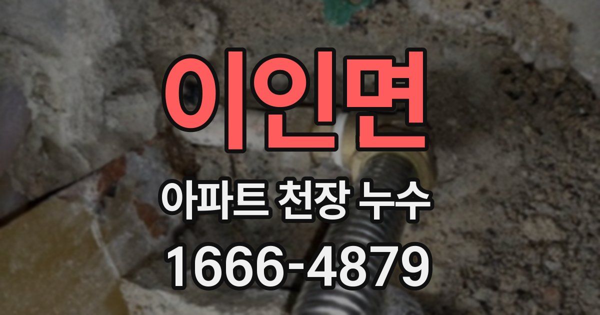 이인면 아파트 천장 누수