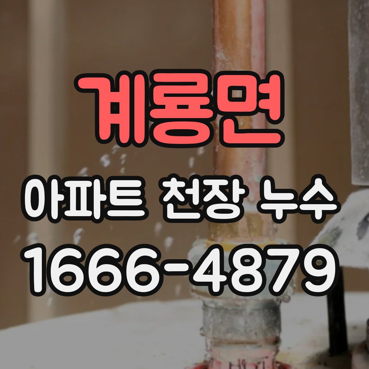 계룡면 아파트 천장 누수