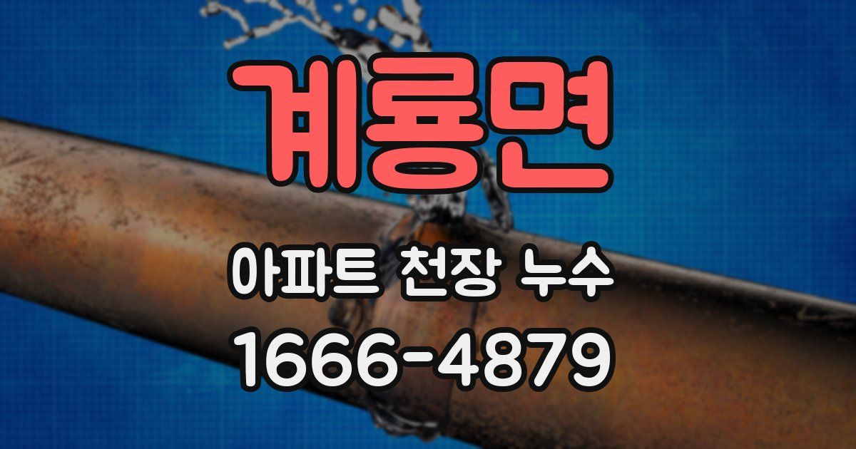 계룡면 아파트 천장 누수