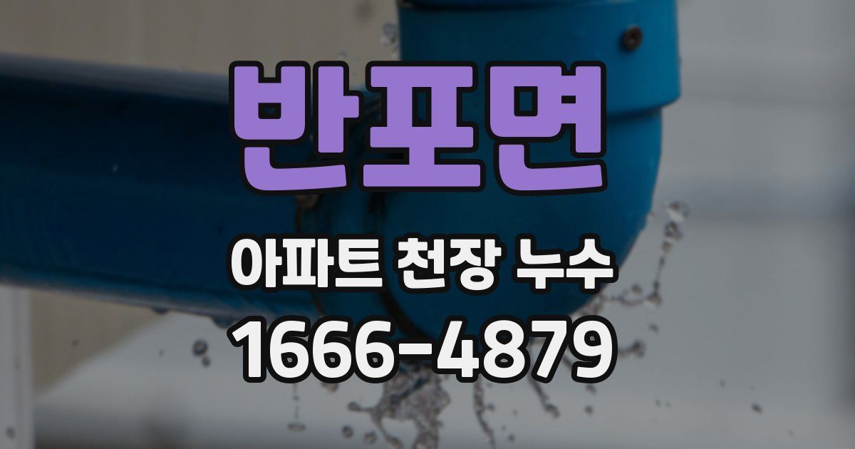 반포면 아파트 천장 누수