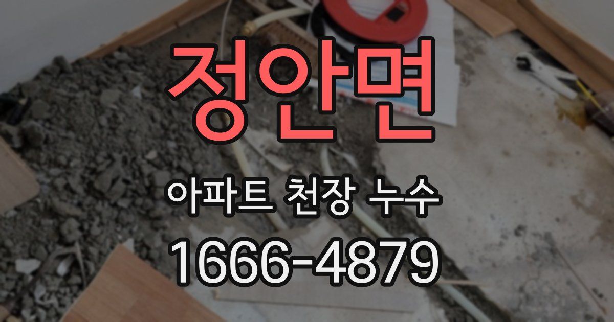 정안면 아파트 천장 누수