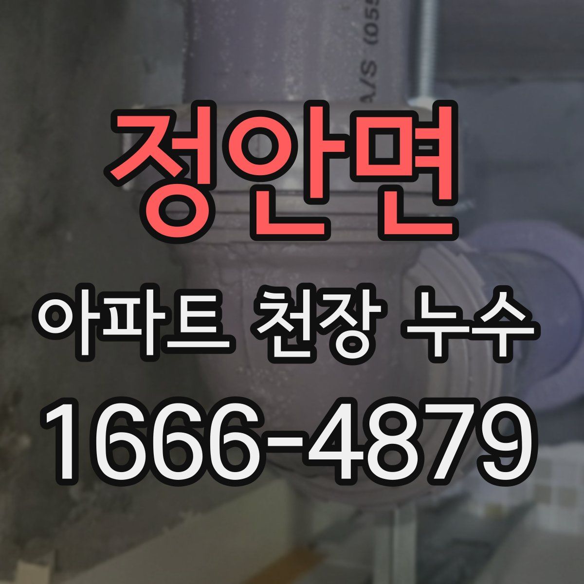 정안면 아파트 천장 누수