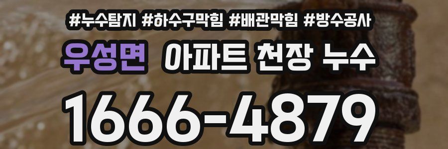 우성면 아파트 천장 누수