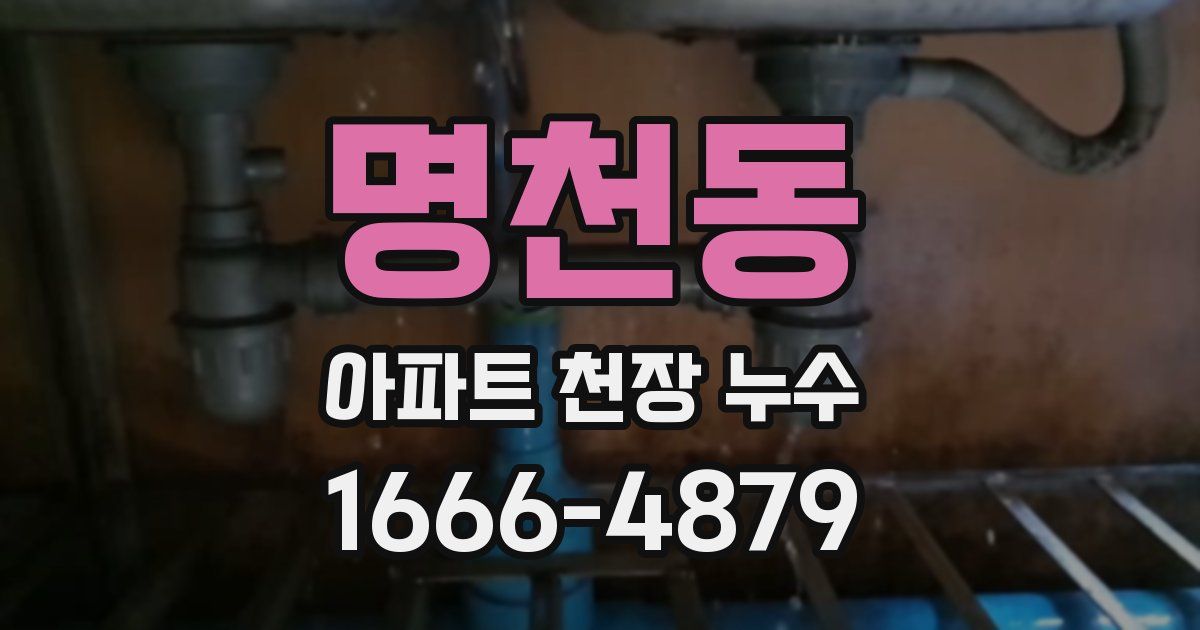 명천동 아파트 천장 누수